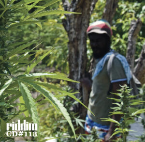 Riddim Nr. 113 Alborosie – Spiritual Guidance inkl. CD