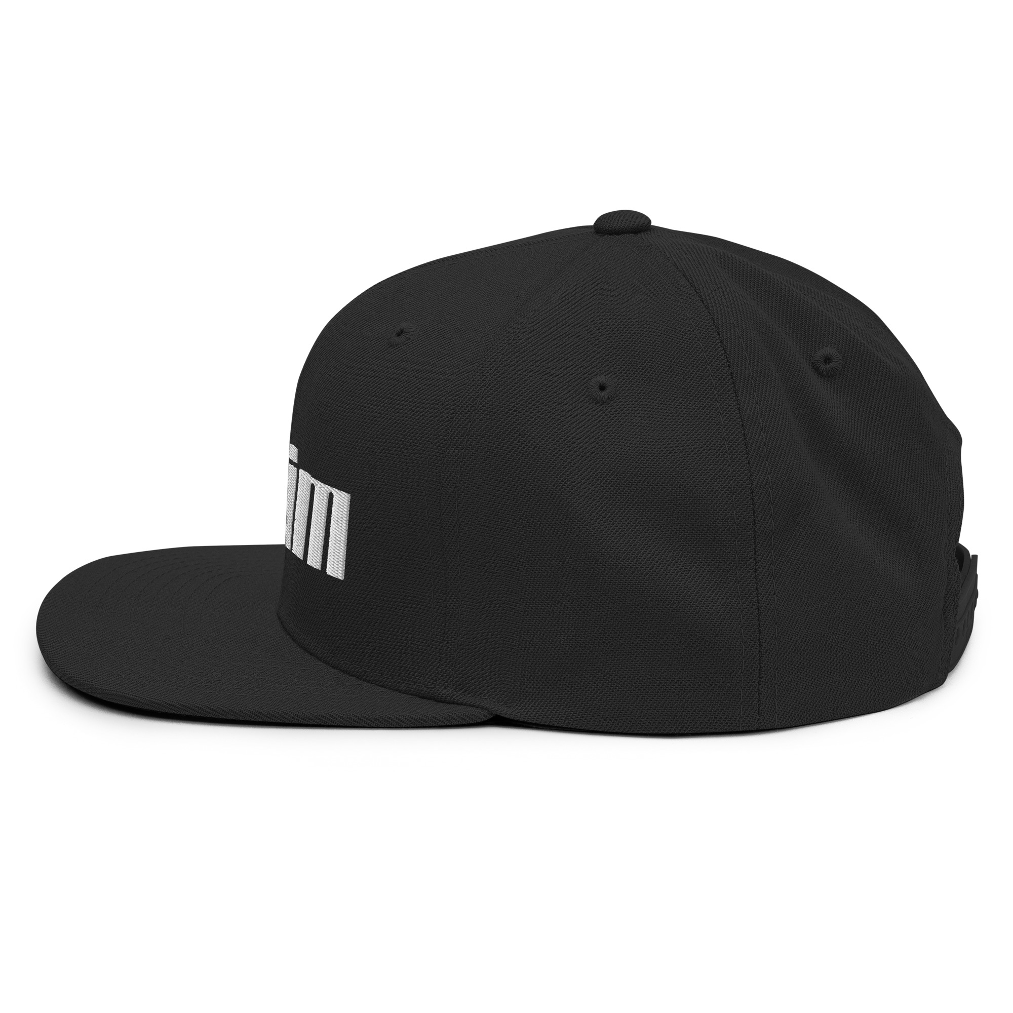 RIDDIM Snapback – Black - Image 4